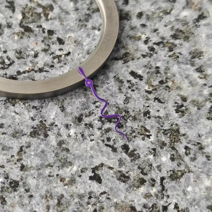 Montre en forme de serpent S