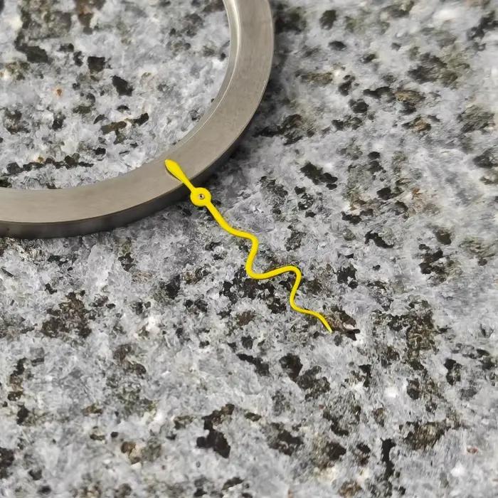 Montre en forme de serpent S